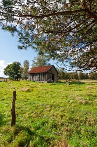 Abondonned Barn