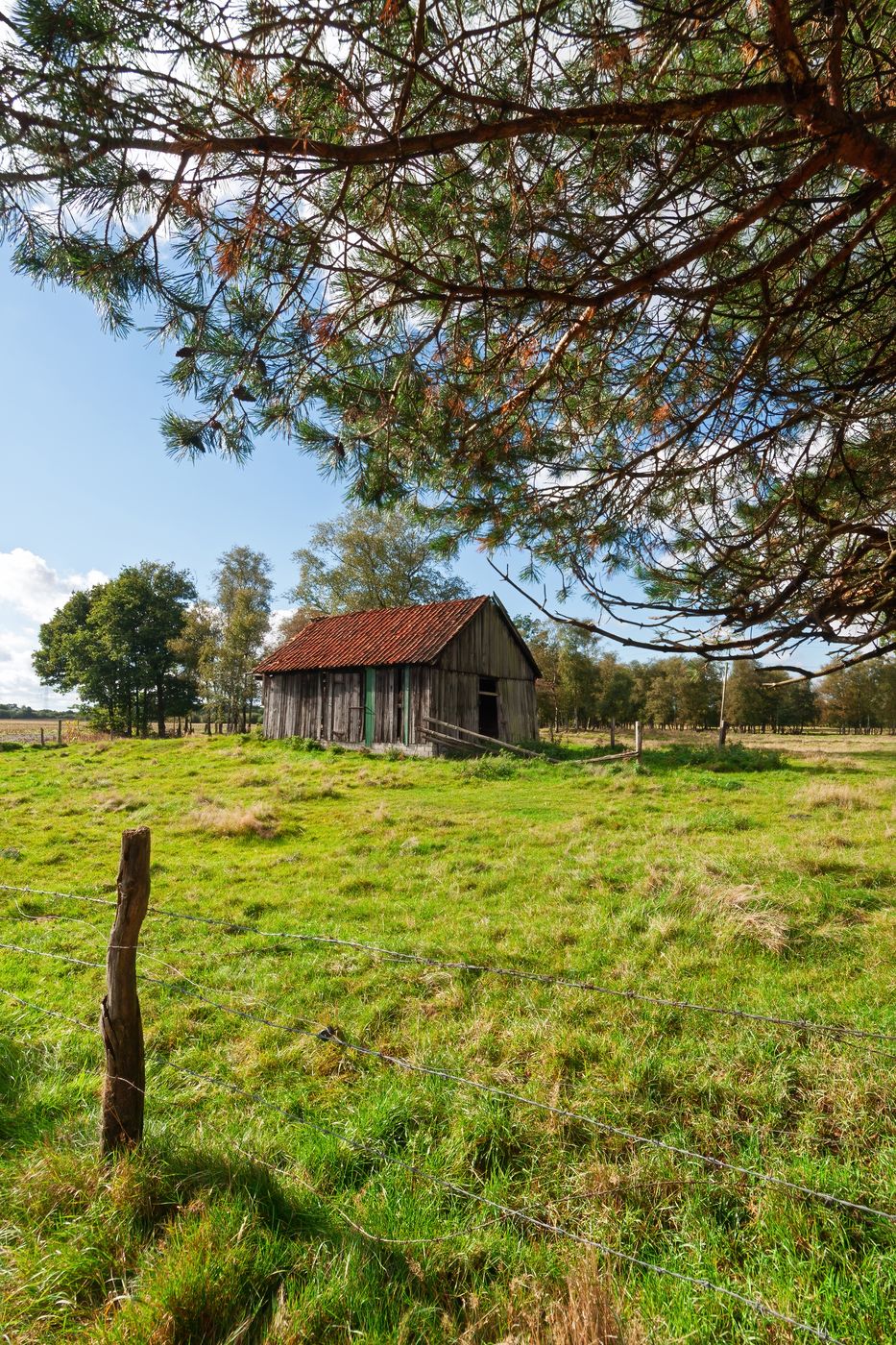 Abondonned Barn, Germany
