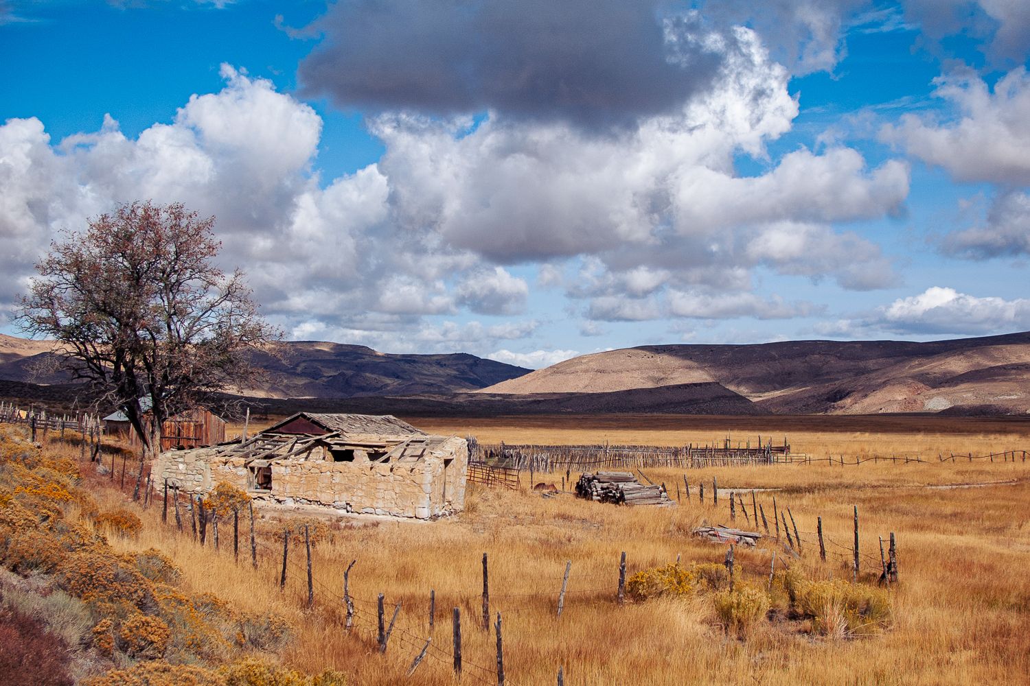 Abondonned farmstead near Austin Nevada, USA