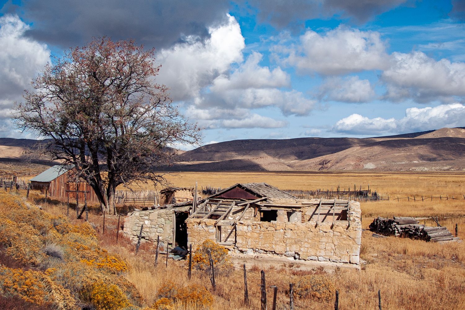 Abondonned farmstead near Austin Nevada, USA