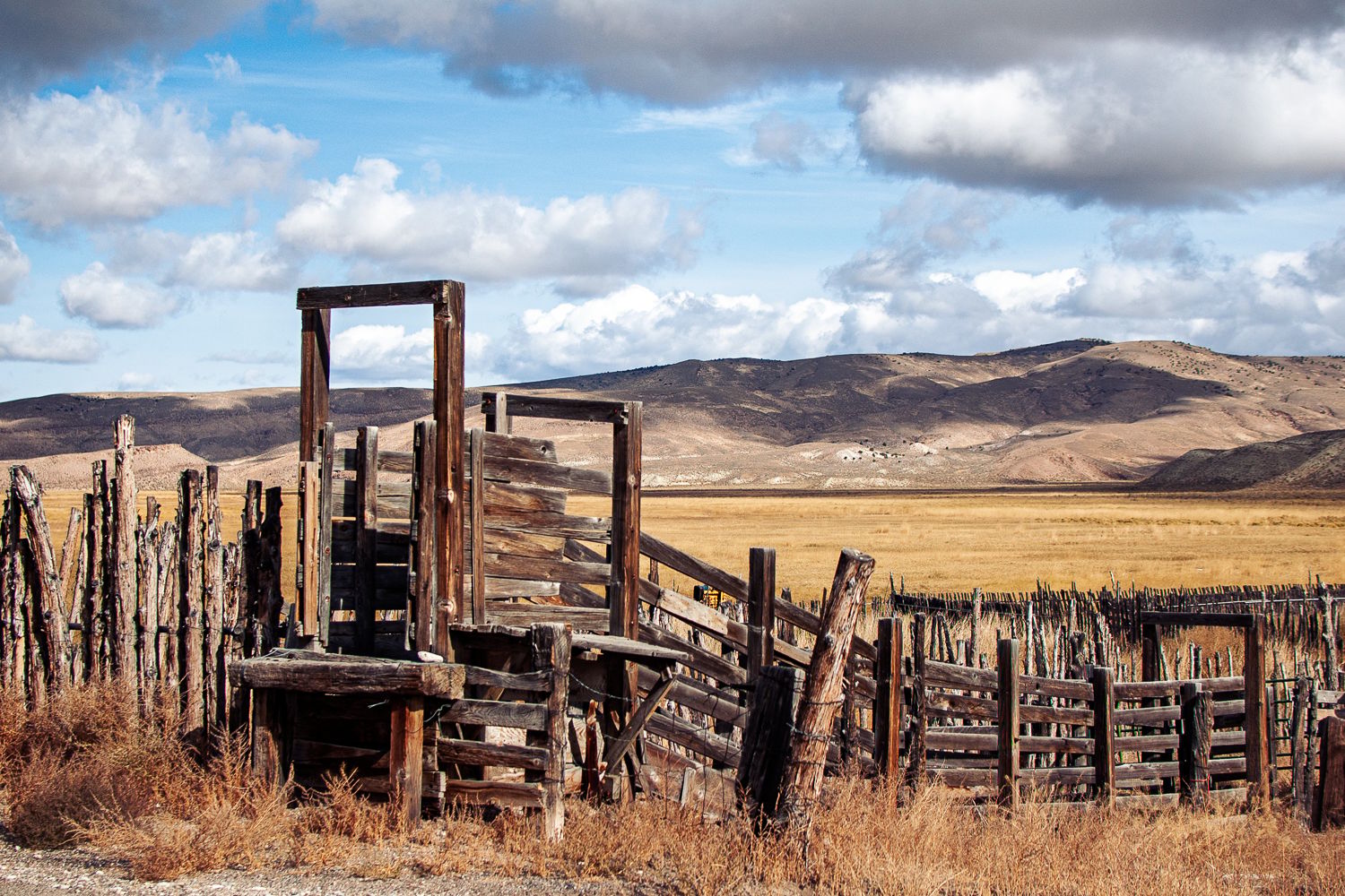 Abondonned farmstead near Austin Nevada, USA