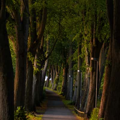 Alley in Roskilde, Denmark, Denmark