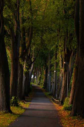 Alley in Roskilde, Denmark