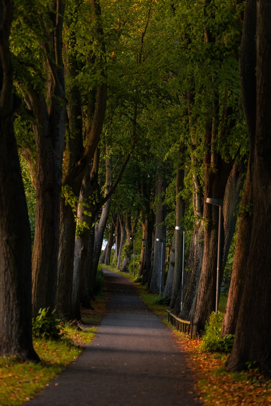 Alley in Roskilde, Denmark, Denmark