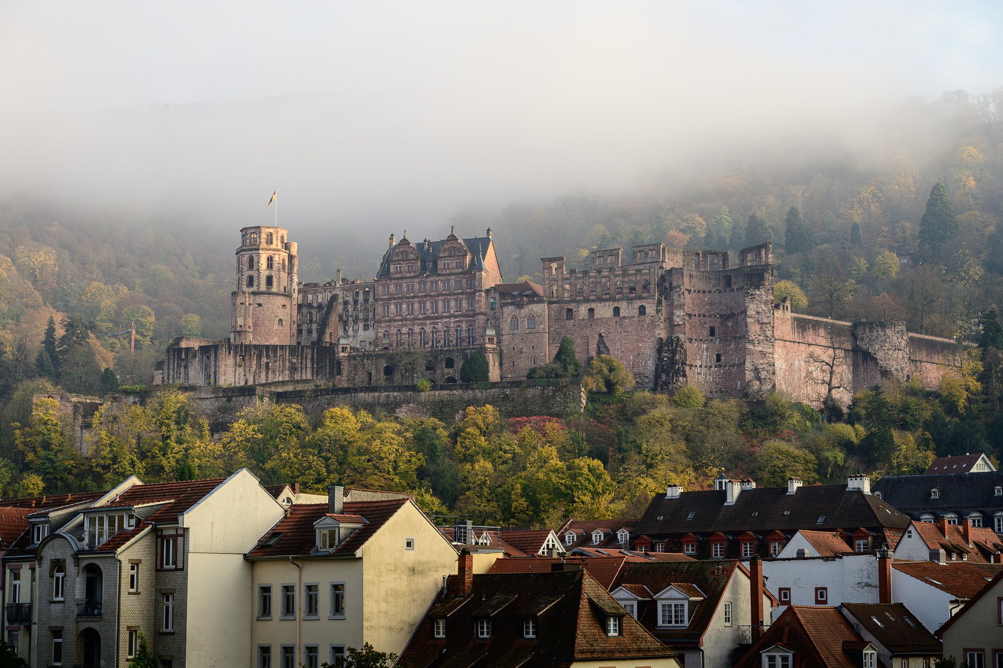 View of Heidelberg Castle from the Old Bridge, Heidelberg, Germany