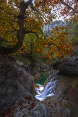 Anisclo canyon waterfalls
