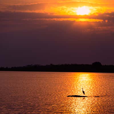 Backwaters of KRS Dam, near Venugopalswamy Temple, India