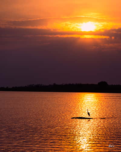 Backwaters of KRS Dam, near Venugopalswamy Temple