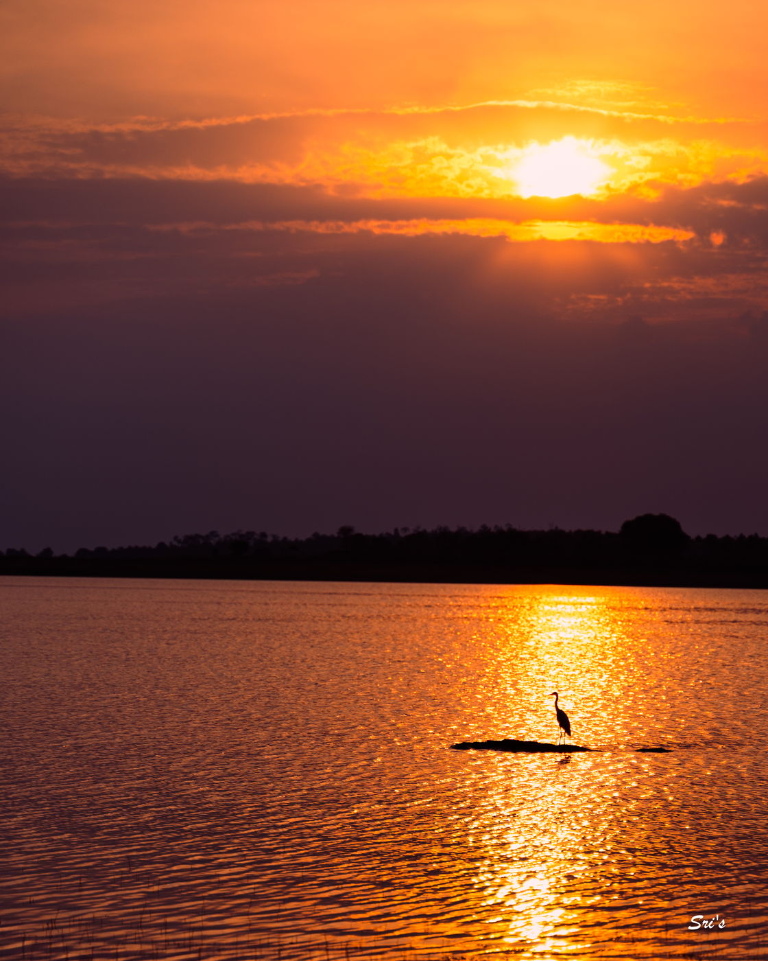 Backwaters of KRS Dam, near Venugopalswamy Temple, India