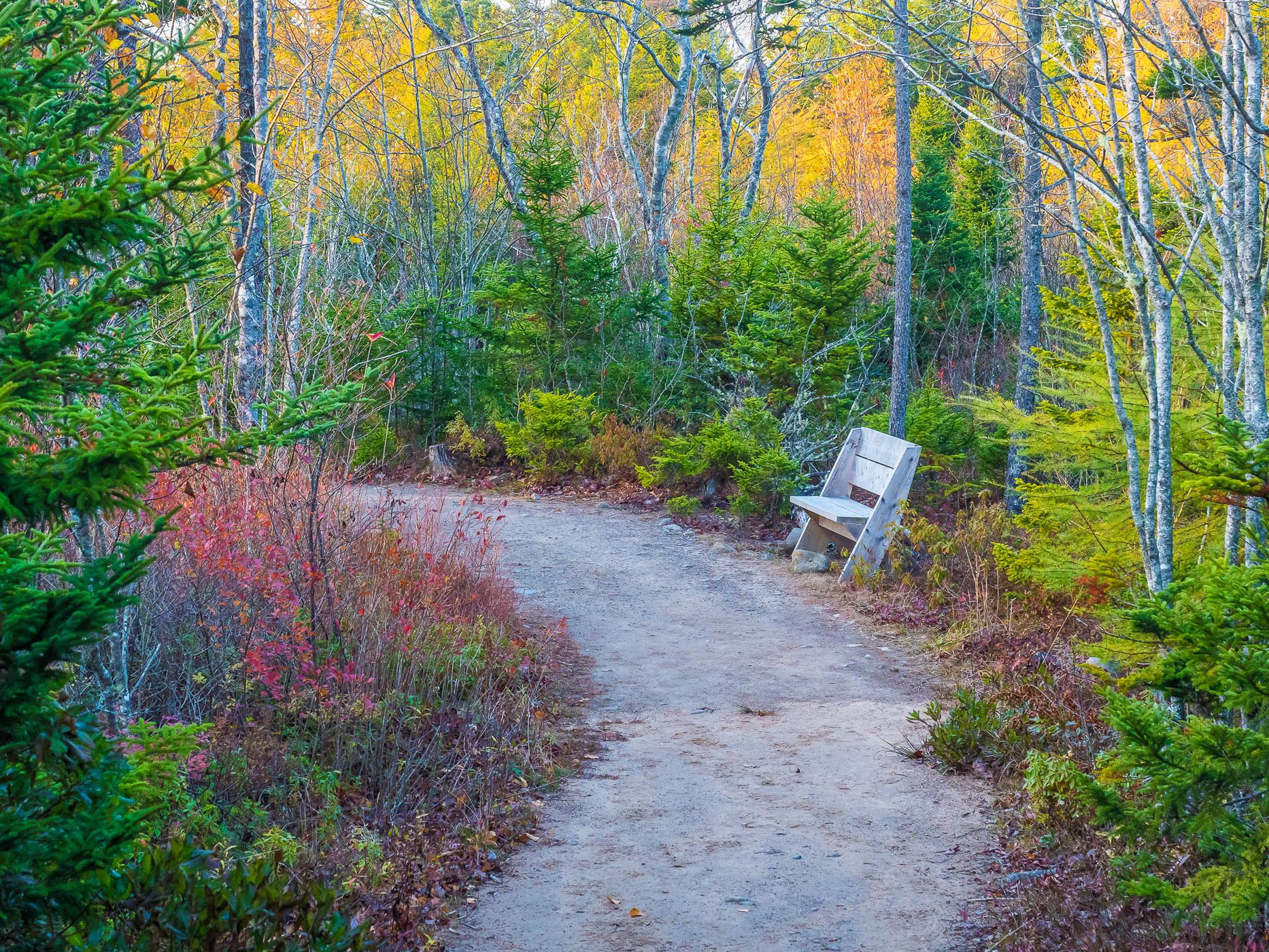 Balancing Rock Trail, Canada