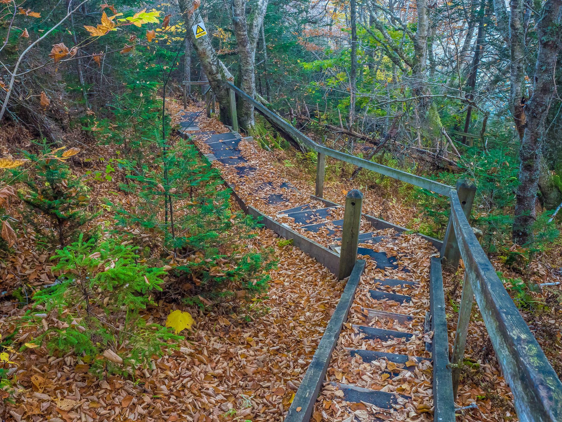 Balancing Rock Trail, Canada