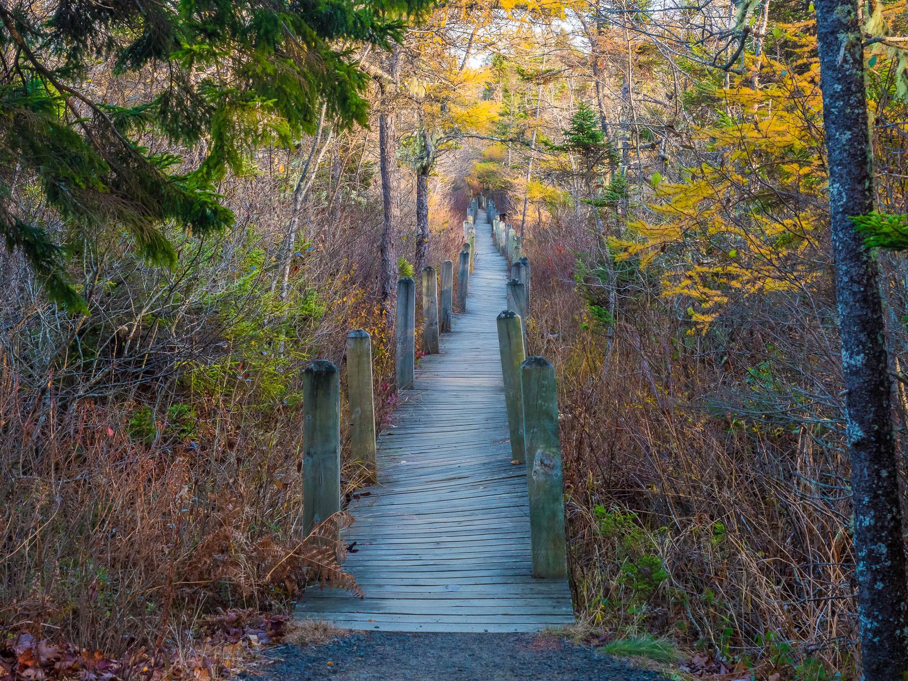 Balancing Rock Trail, Canada