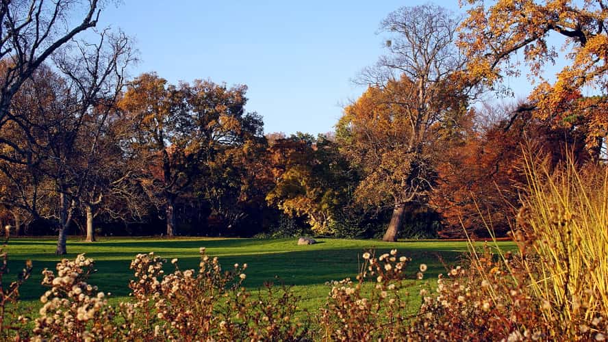 Berggarten Hannover