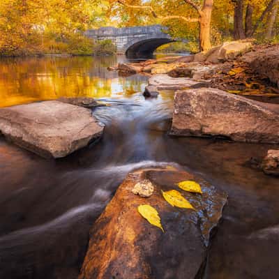 Big Rock Park – Cherokee Park, USA