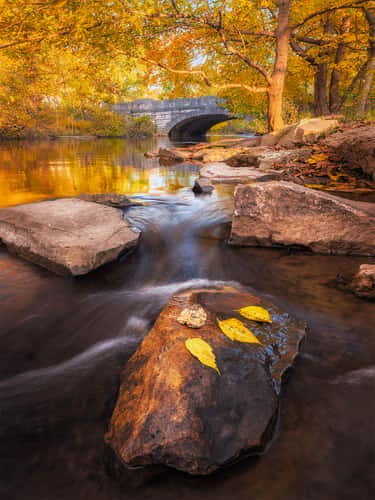 Big Rock Park – Cherokee Park