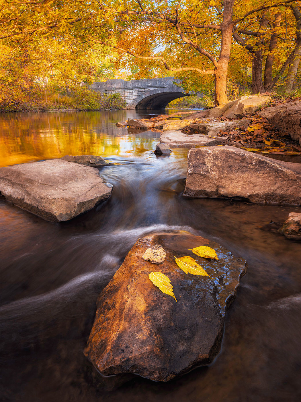 Big Rock Park – Cherokee Park, USA