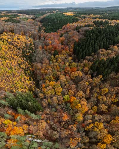 Bilisse-Felsen