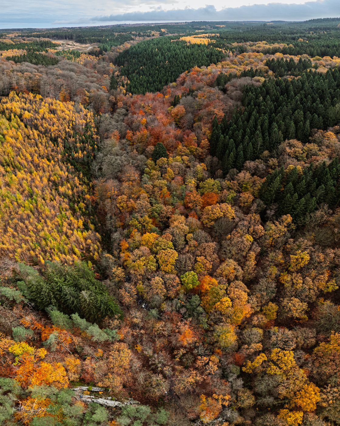 Bilisse-Felsen, Belgium