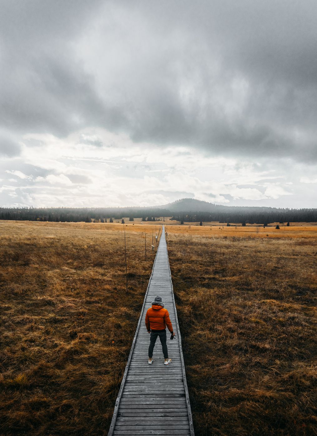 Boží Dar Marsh Path, Czech Republic