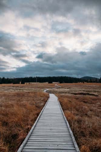 Boží Dar Marsh Path