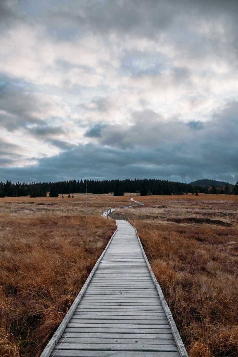 Boží Dar Marsh Path, Czech Republic
