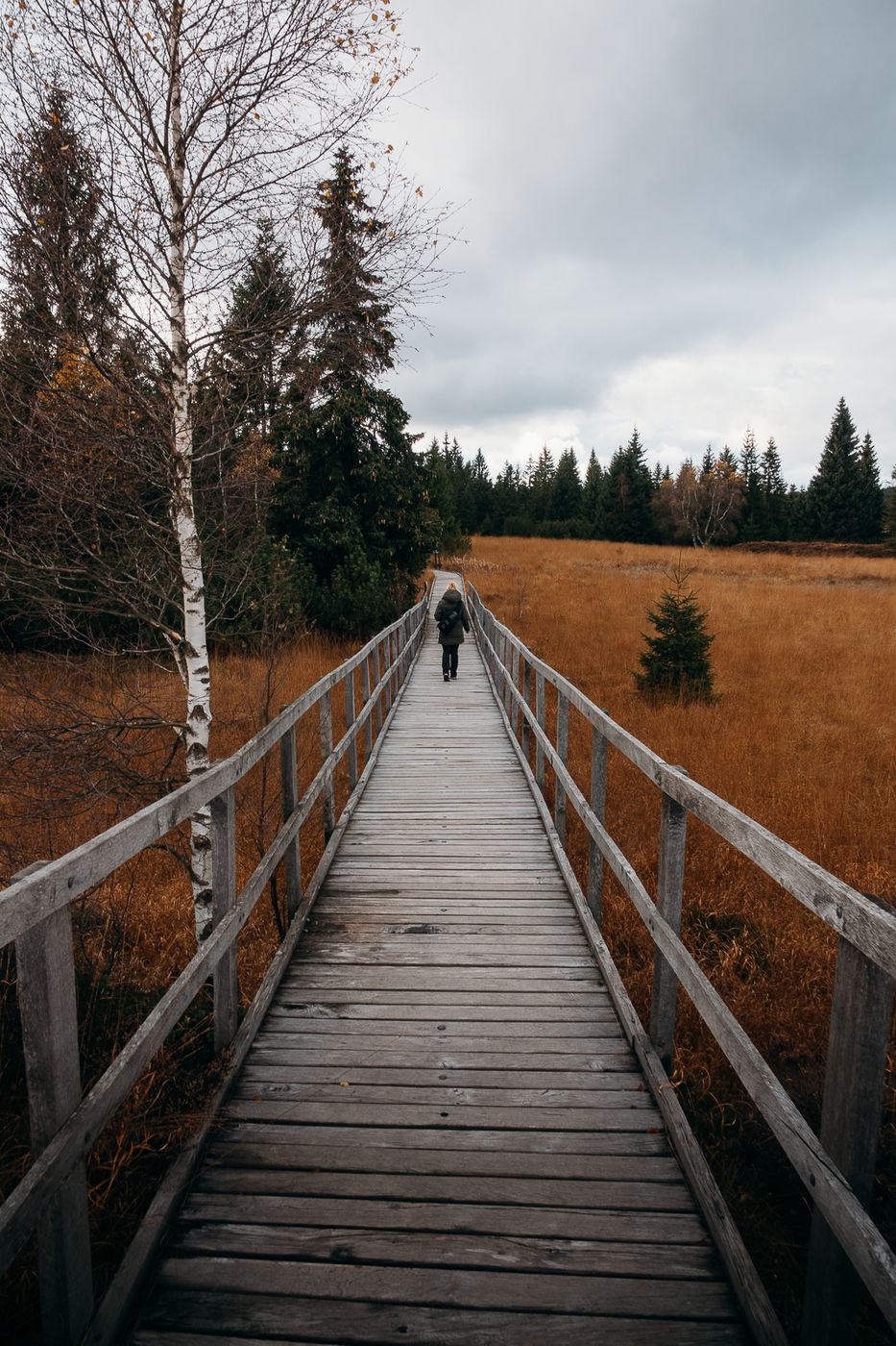 Boží Dar Marsh Path, Czech Republic