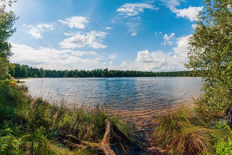 Bullensee, Rotenburg/Wümme