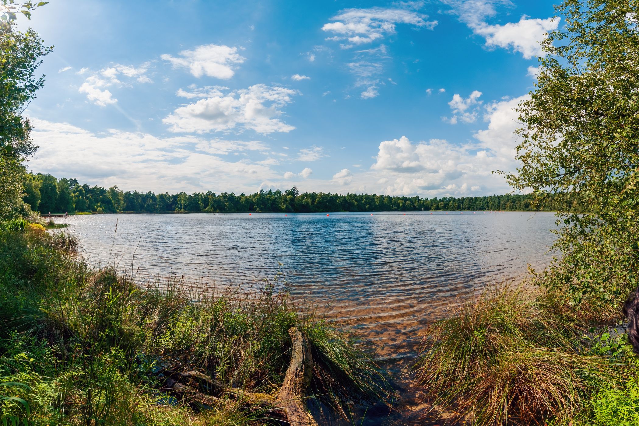 Bullensee, Rotenburg/Wümme, Germany
