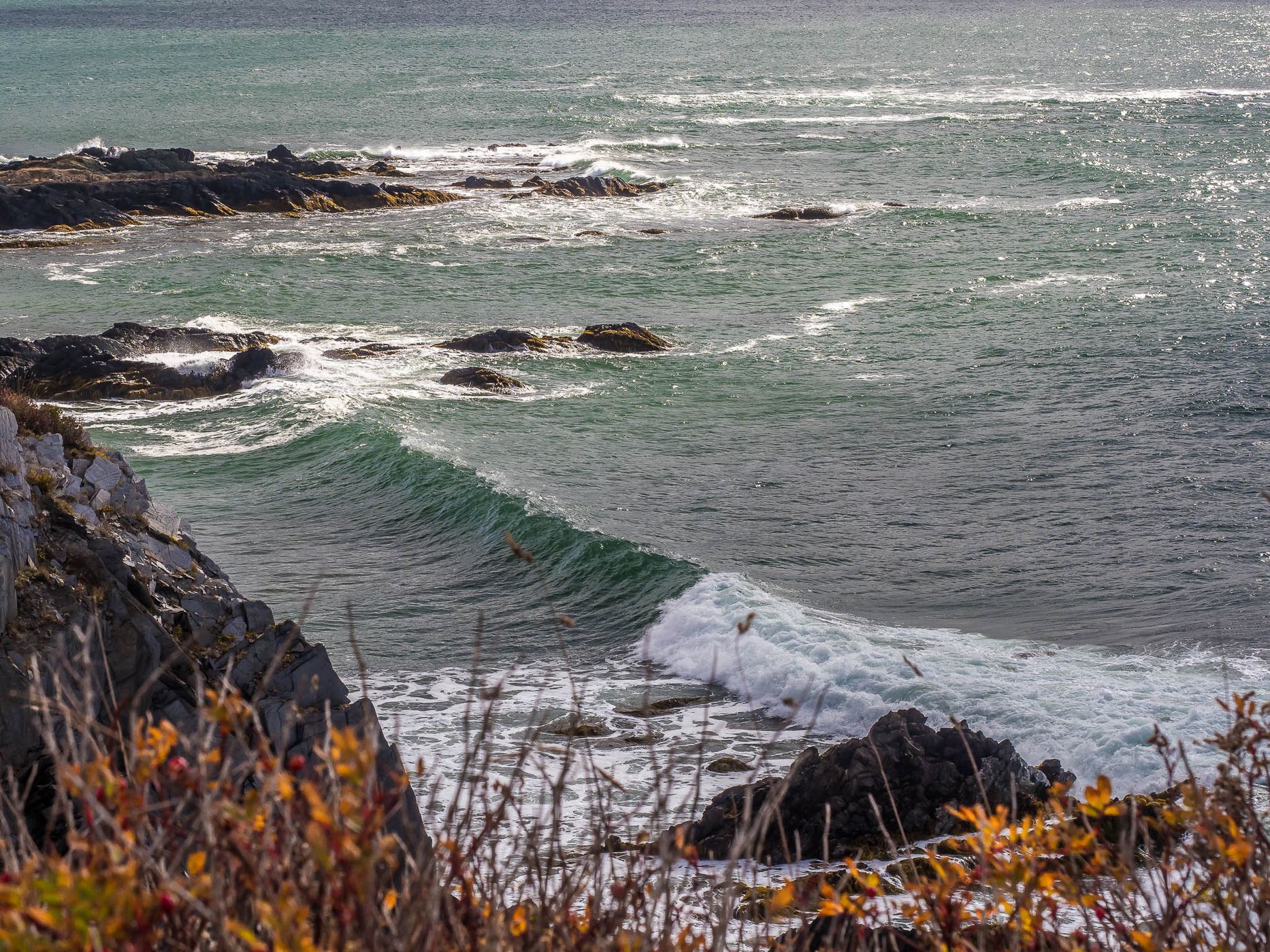 Cape Saint Mary Lighthouse Park, Canada
