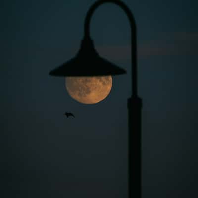 Creative Light, Mission Point, Mackinac Island, USA