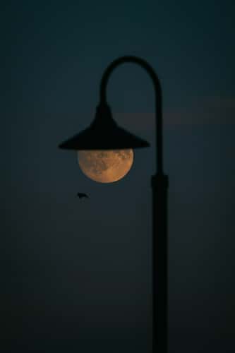 Creative Light, Mission Point, Mackinac Island