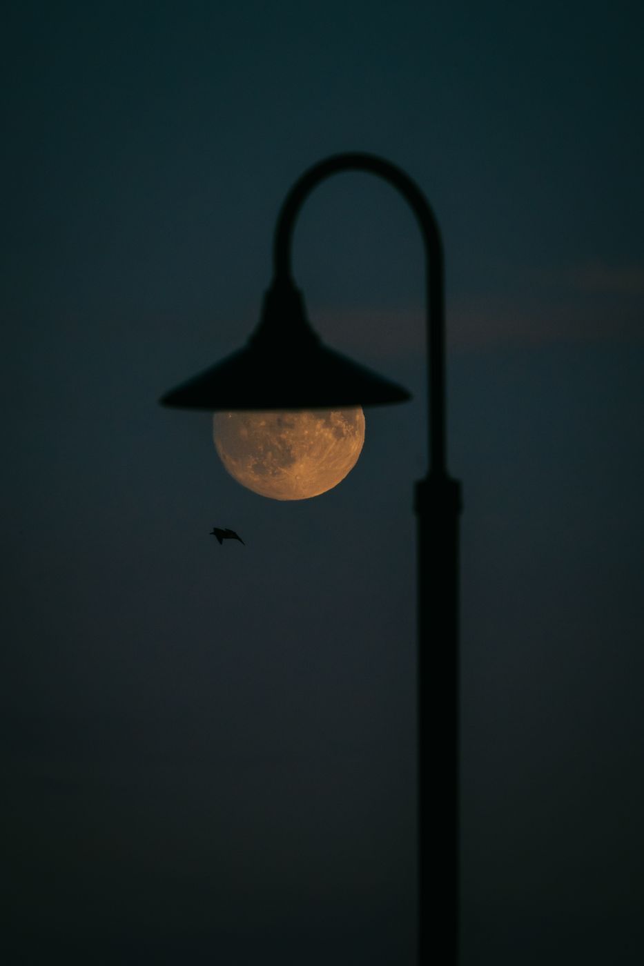 Creative Light, Mission Point, Mackinac Island, USA