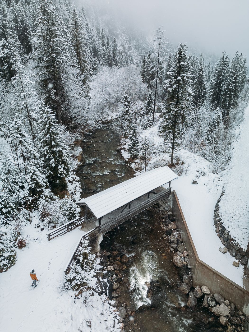 Ehrwald Wooden Bridge (Drone), Austria