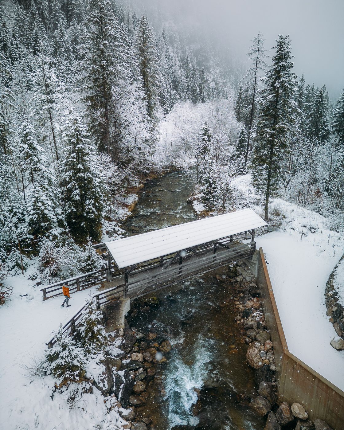 Ehrwald Wooden Bridge (Drone), Austria