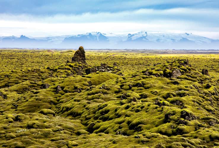 Eldhraun Lava Field