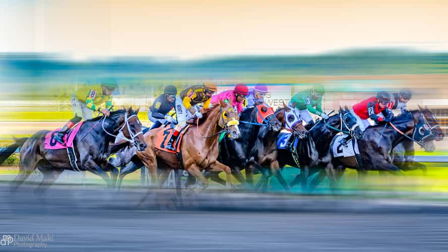 Emerald Downs
