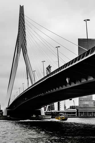 Erasmus Bridge (south view), Rotterdam