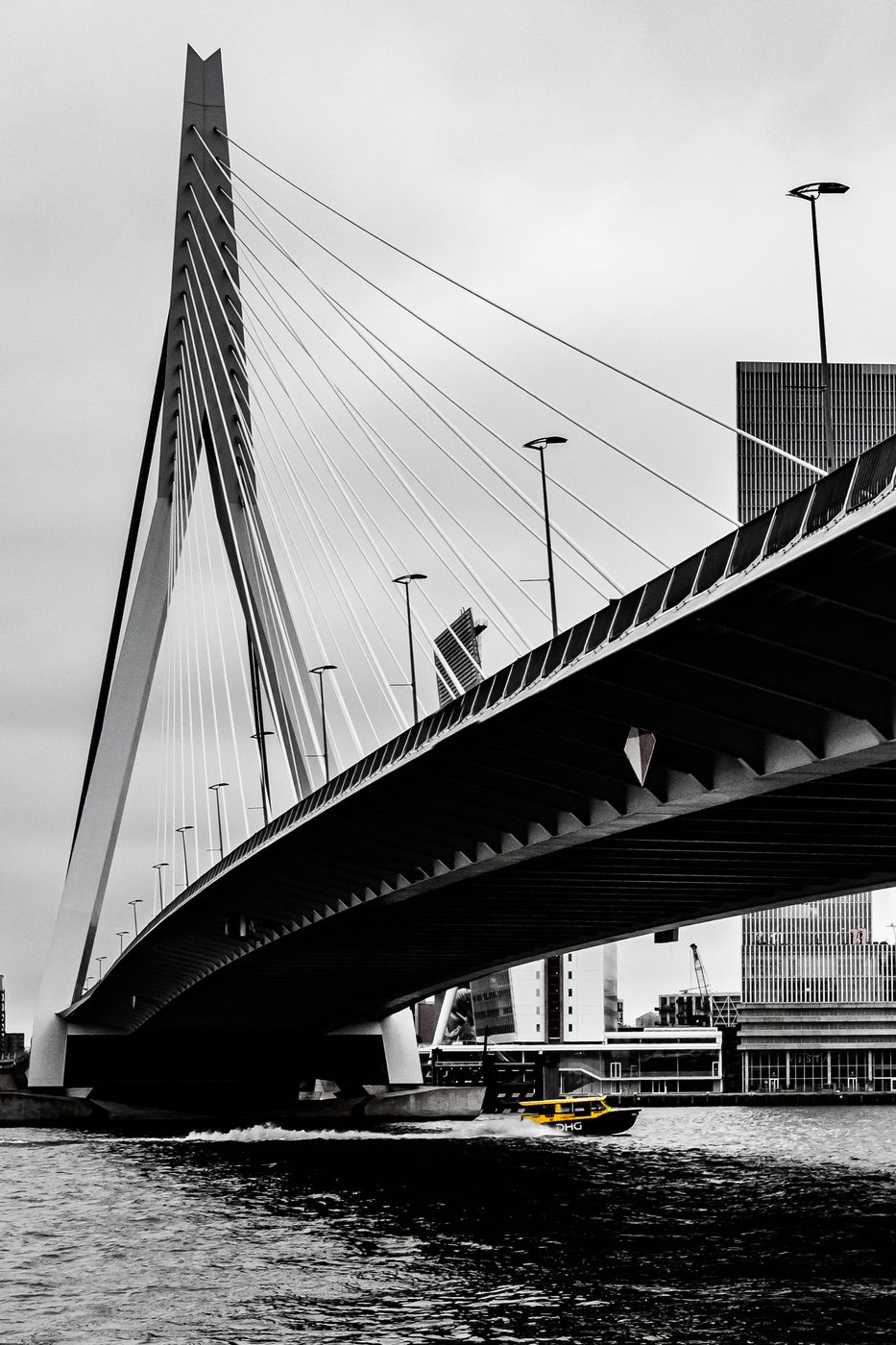 Erasmus Bridge (south view), Rotterdam, Netherlands