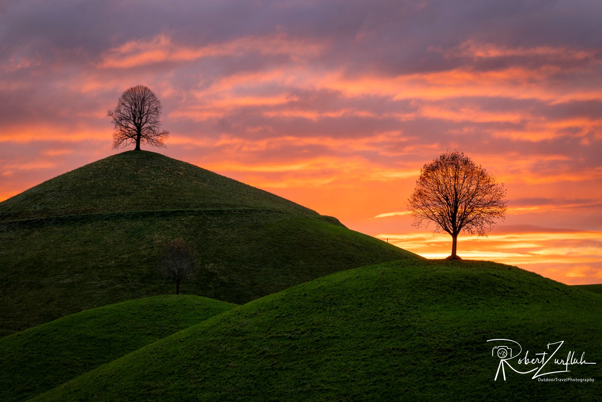 Fairy tale trees, Neuheim, Switzerland