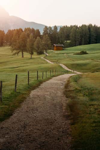 Footpath to Cabin