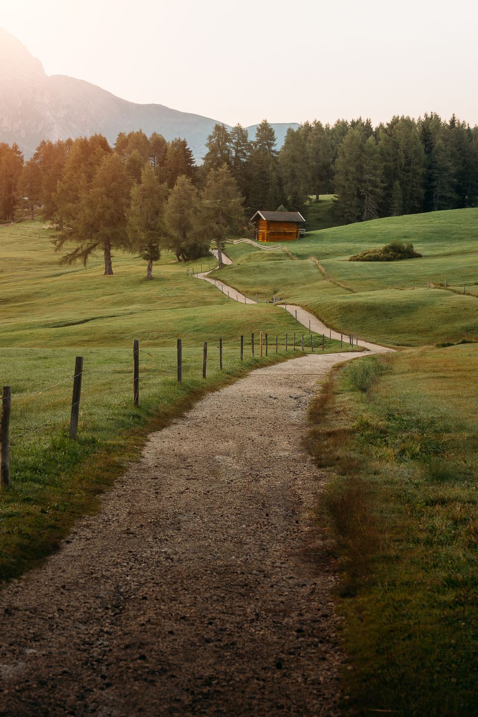 Footpath to Cabin, Italy