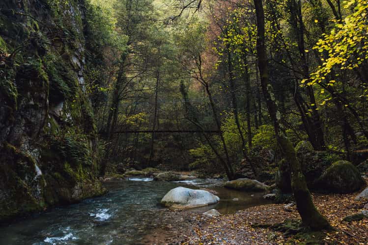 Gaulschlucht
