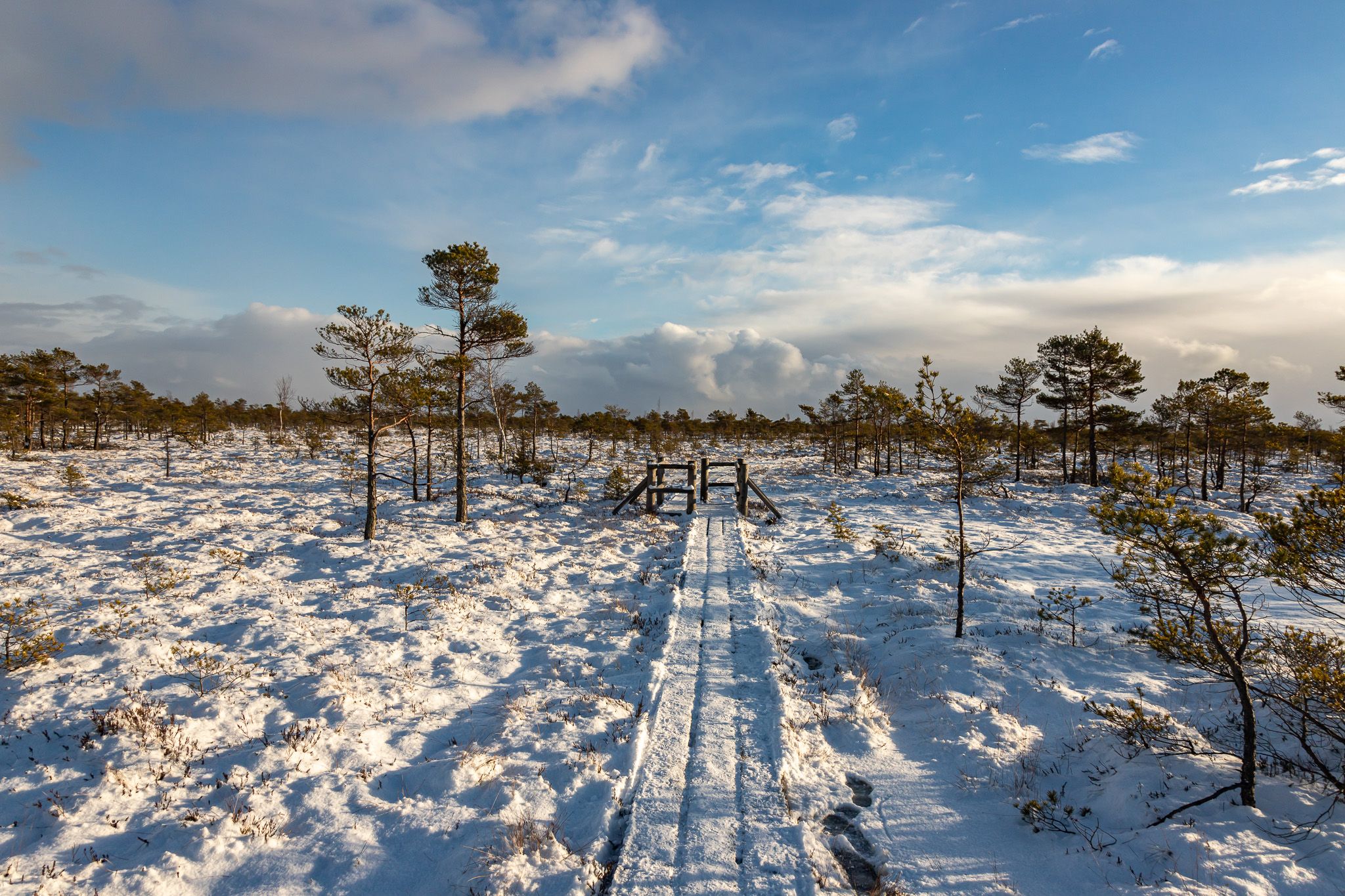 Great Kemeri Bog Boardwalk, Latvia