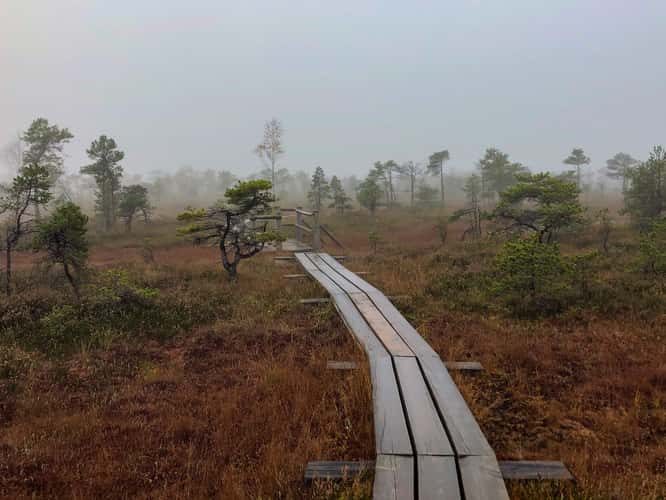Great Kemeri Bog Boardwalk