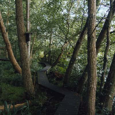 Gundsømagle Sø, Denmark, Denmark