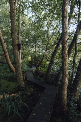 Gundsømagle Sø, Denmark