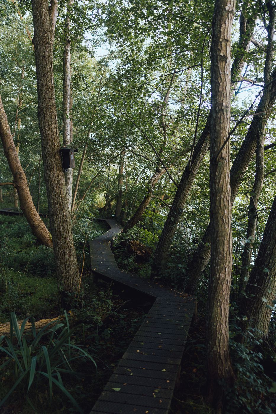 Gundsømagle Sø, Denmark, Denmark