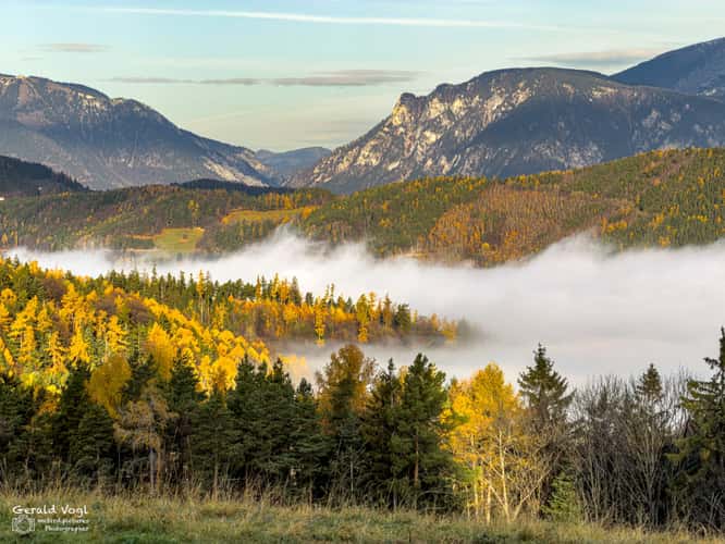 Herbststimmung nahe Burg Wartenstein