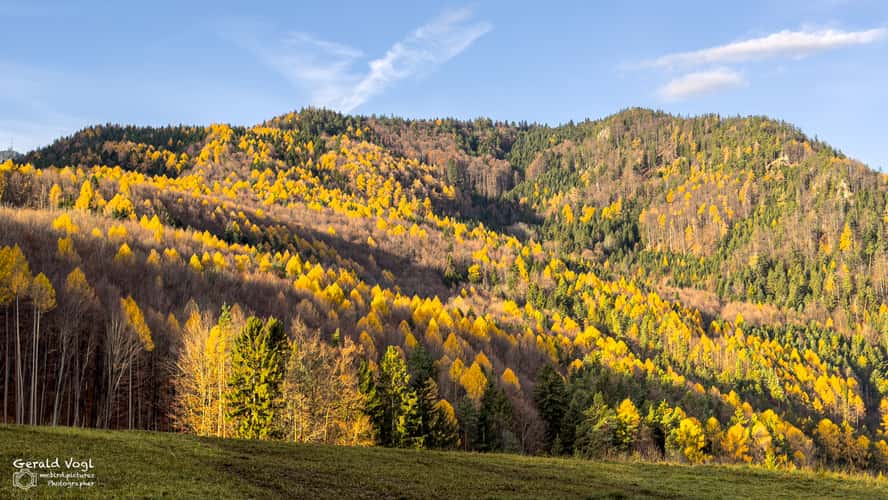 Herbststimmung nahe Burg Wartenstein