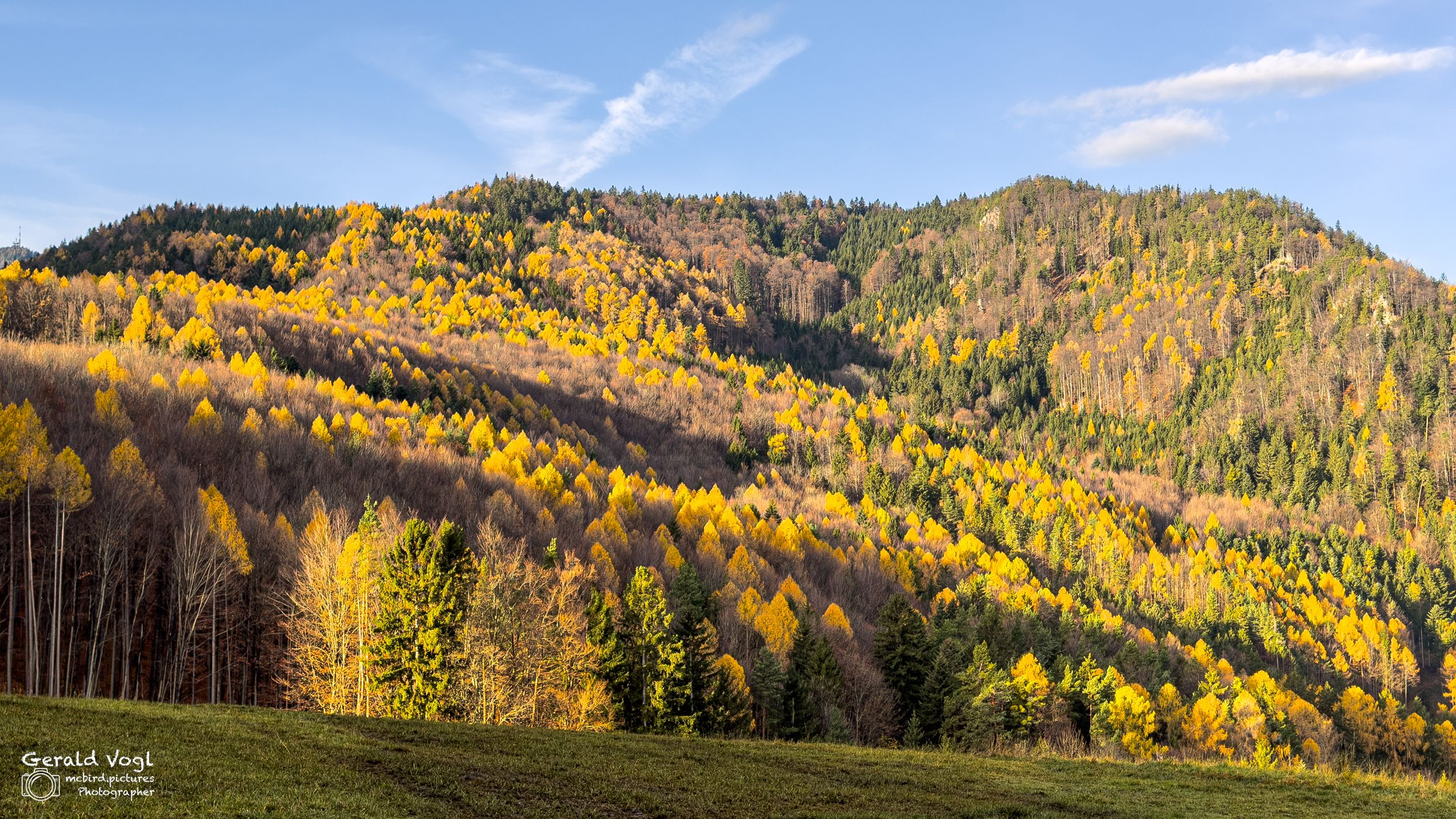 Herbststimmung nahe Burg Wartenstein, Austria